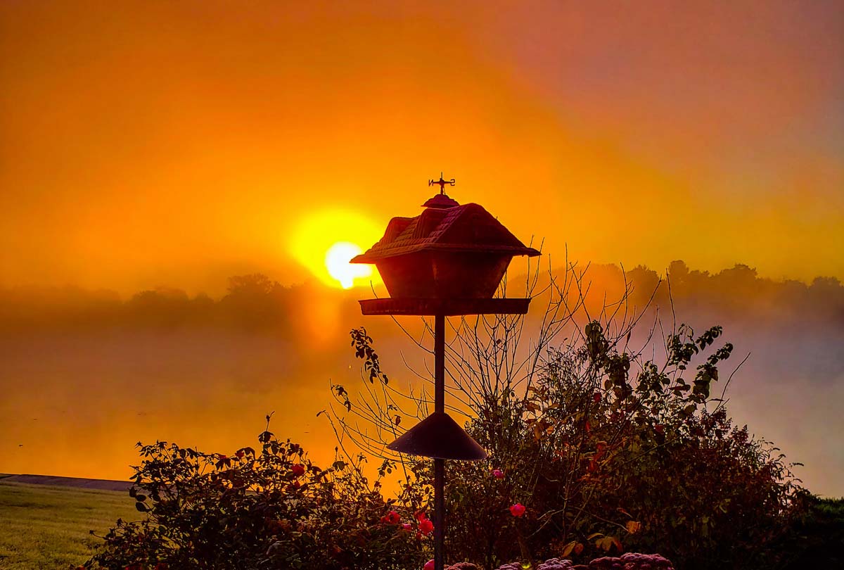 Titelbild Startseite-Vogelhaus im Sonnenuntergang